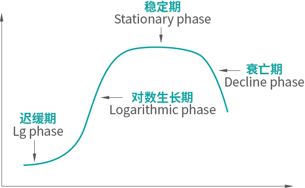 微生物生長(zhǎng)曲線(xiàn)測(cè)定